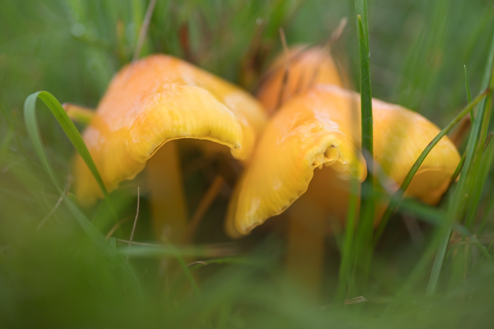 _IMG3047.jpg