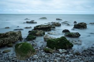 _IMG7683.jpg