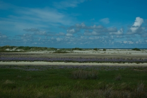 _IGP2129.jpg